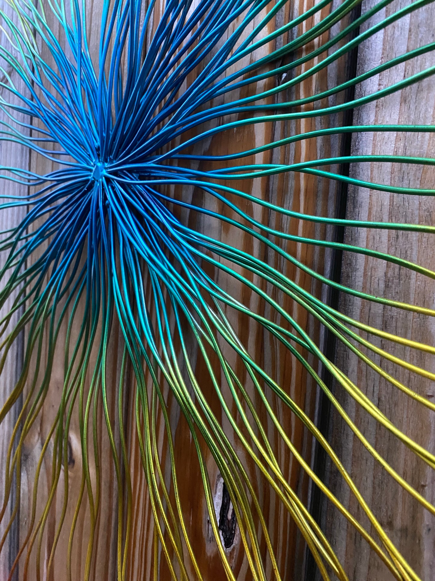 Color Burst Wire Frame